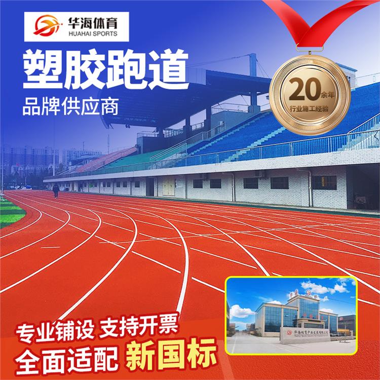 衡阳市塑胶颗粒预制跑道卷材 - 厂家